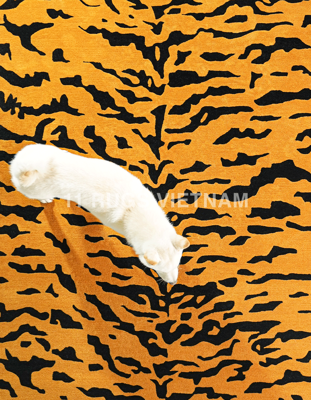 'CUERO DE TIGRE' RUG - Ảnh 3