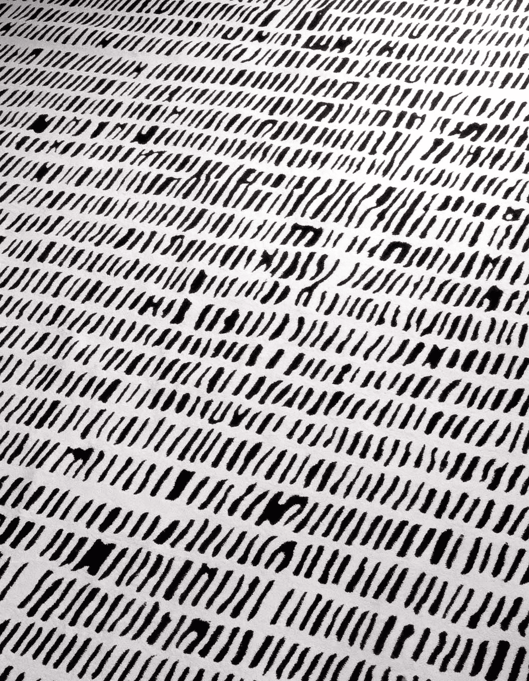 TRACE - Image 2